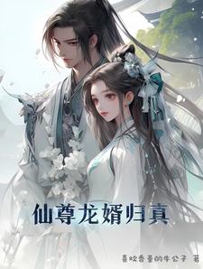 仙尊女婿免费阅读